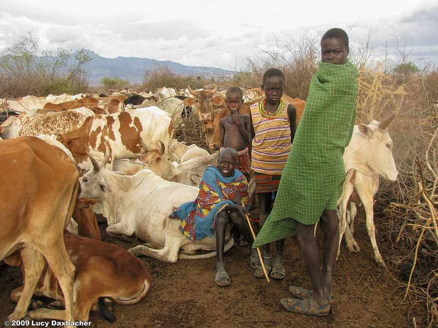 Children and livestock communities reached through mobile peace and development engagement.