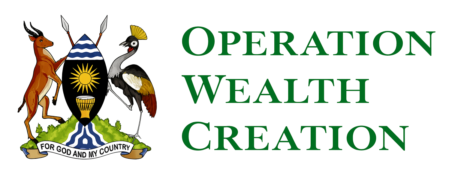 Operation Wealth Creation logo